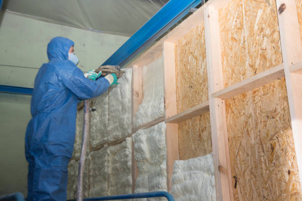 Best Insulation for New Construction  in Winchester, IL