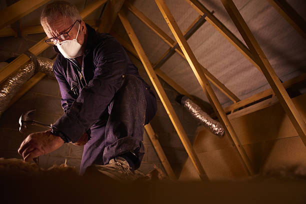 Best Insulation Contractors for Homes  in Winchester, IL